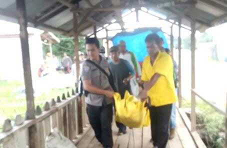 경찰 총에 사살된 호랑이 에카의 사체[메트로TV 제공]